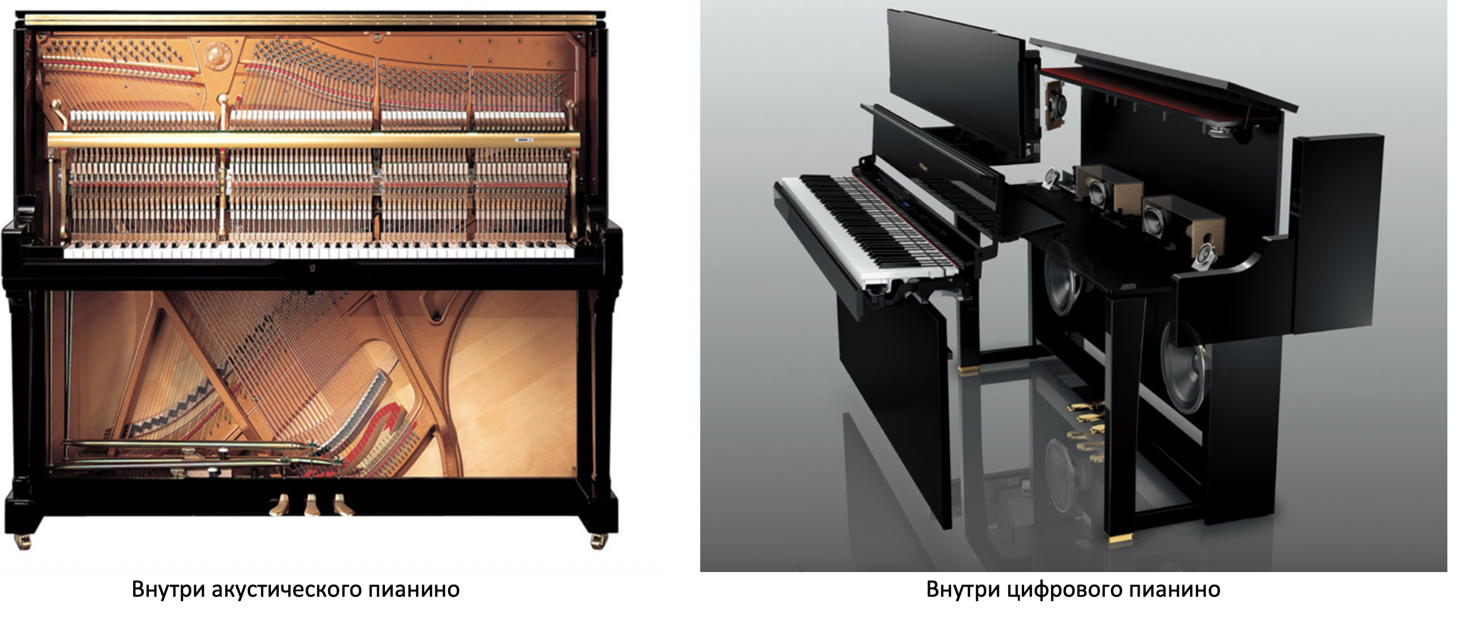 Как выглядит пианино внутри